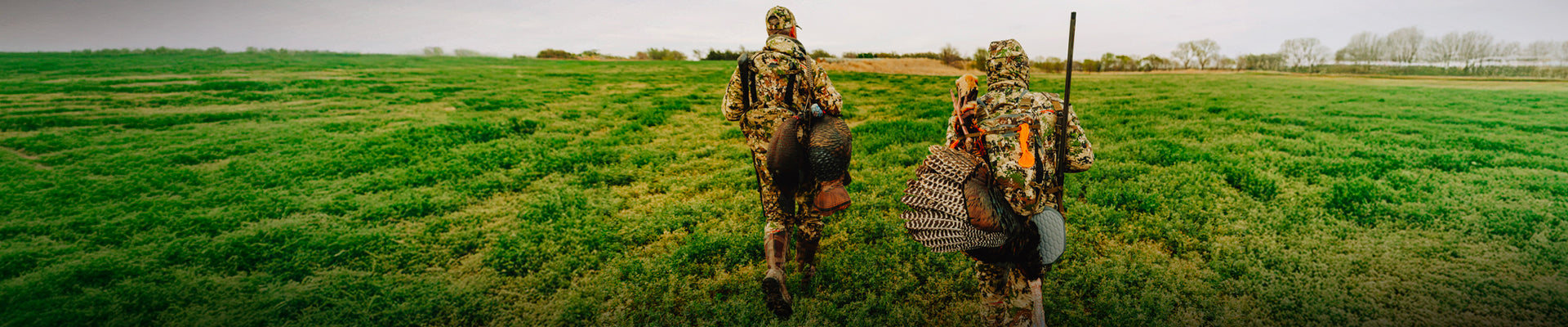 Chasse: Dindons
