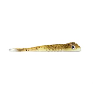 LE DRIFTER DE SET THE HOOK AVEC BAITFUEL image 0