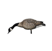 AVIAN-X ENSEMBLE HONKERS D'APPELANTS BERNACHE QUI SE NOURRIT image 0