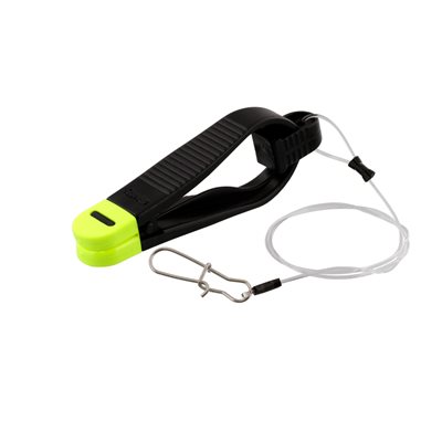 SCOTTY PINCE  PLUS WITH CANNONBALL SNAP image 0