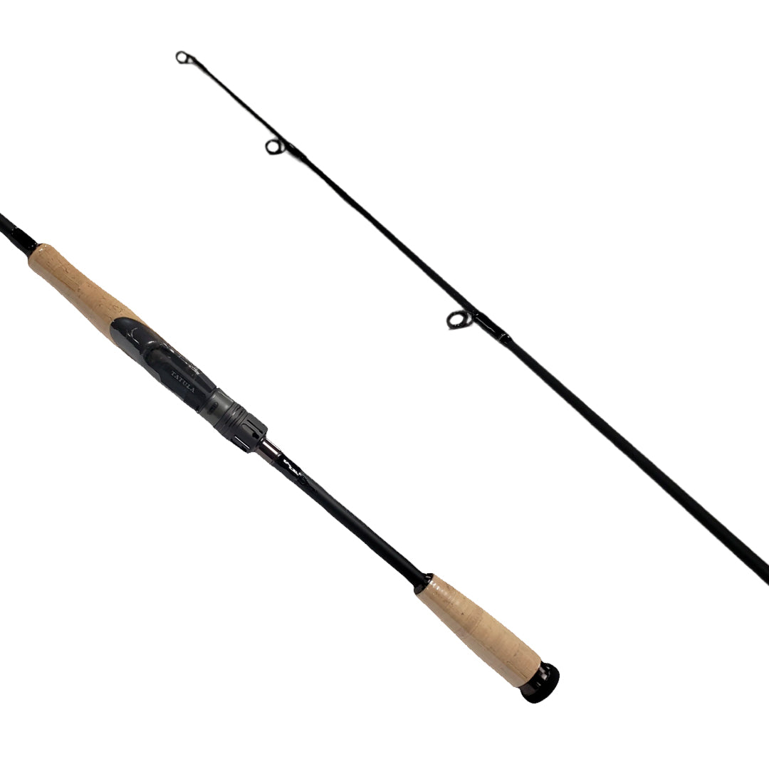DAIWA CANNE LANCER LÉGER TATULA CORK 1 PIÈCE image 0