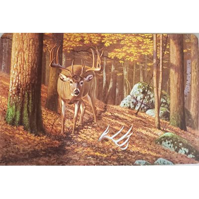 NAPPERON CHEVREUIL, ENSEMBLE DE 4 MORCEAUX image 0