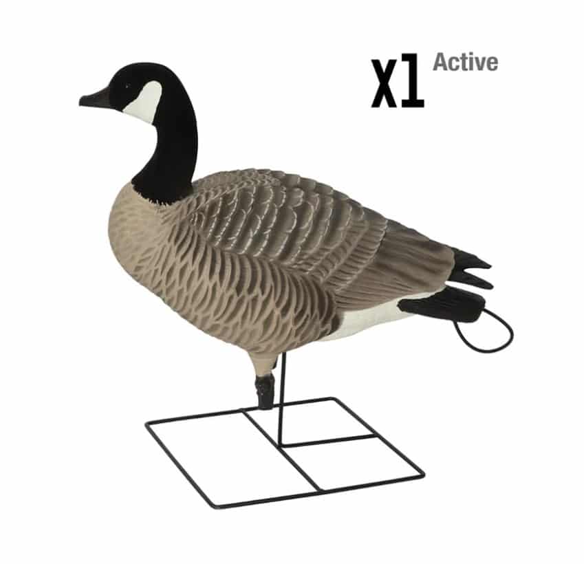 GHG DECOYS PRO GRADE X-D SERIES APPELANTS BERNACHES SUR PIED image 1