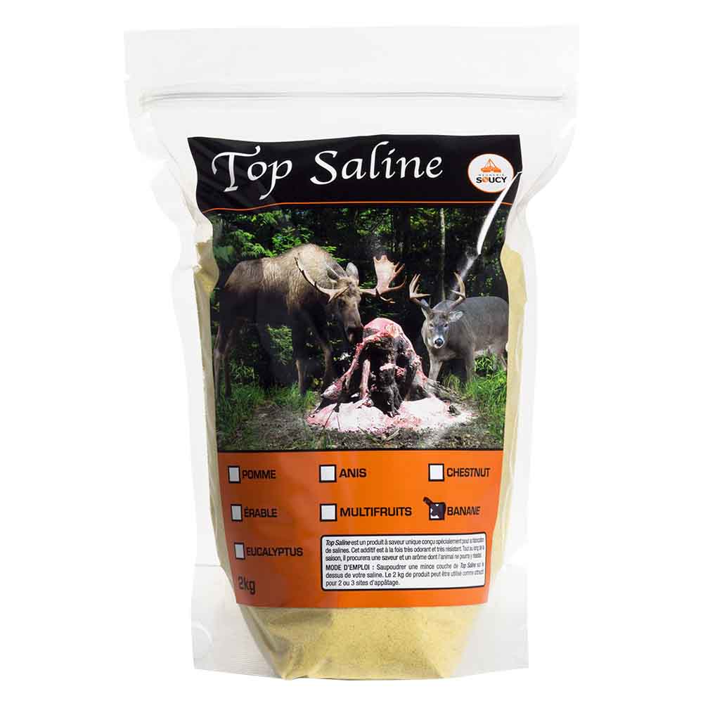 MEUNERIE SOUCY TOP SALINE - BANANE image