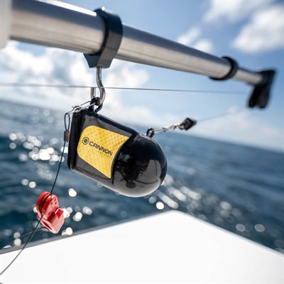 CANNON PLOMB DE DOWNRIGGER DE 10LBS image 3
