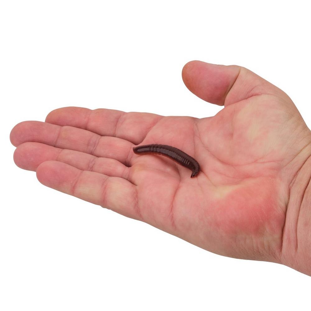 BERKLEY GULP PINCHED CRAWLER image 3