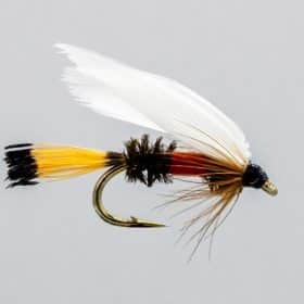 NEPTUNE MOUCHE NOYÉE ROYAL COACHMAN - NUMERO 10 image