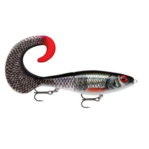 RAPALA X-RAP OTUS 17 - LIVE ROACH image