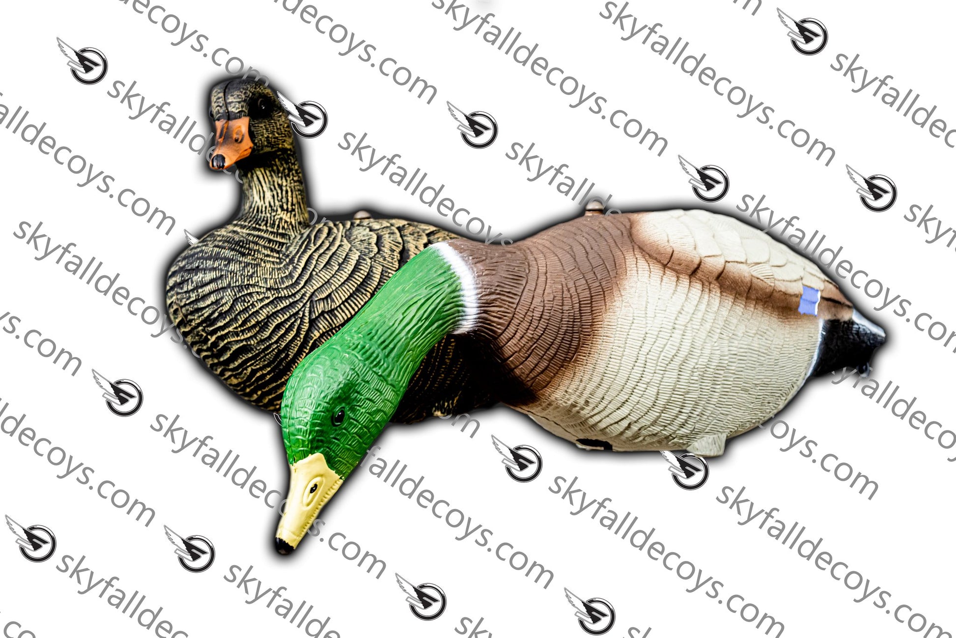 APPELANT CANARD MALARD 12/BTE SKY FALL DECOYS image 0