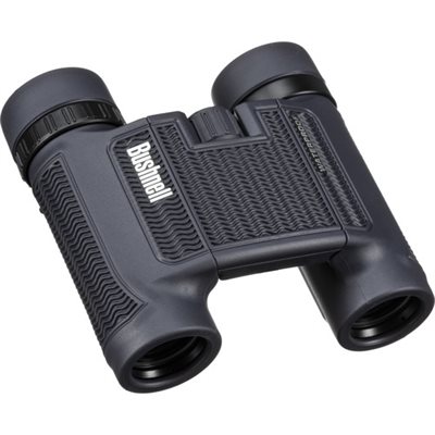 10X25 BLACK ROOF BAK-4, WP/FP, TWIST UP EYECUPS, CLAM 6 L image 0