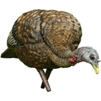 AVIAN-X APPELANT FEEDER HEN image 0