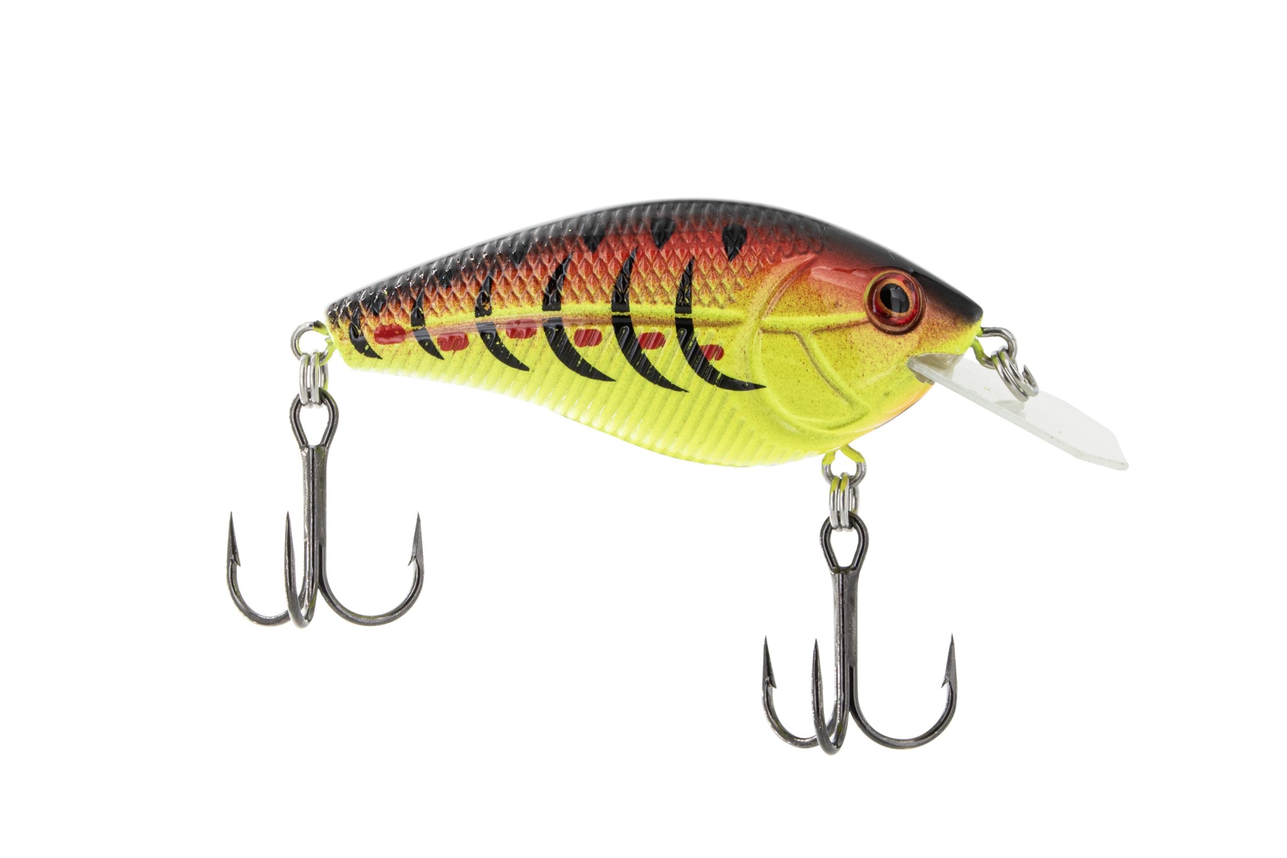 POISSON NAGEUR PRIMETYME CB 1.5 DE LIVINGSTON - FIRE &amp; ICE image