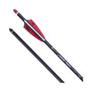 TENPOINT FLÈCHES EVO-X CENTER PUNCH HPX CARBON 20" - 6/PACK image 0