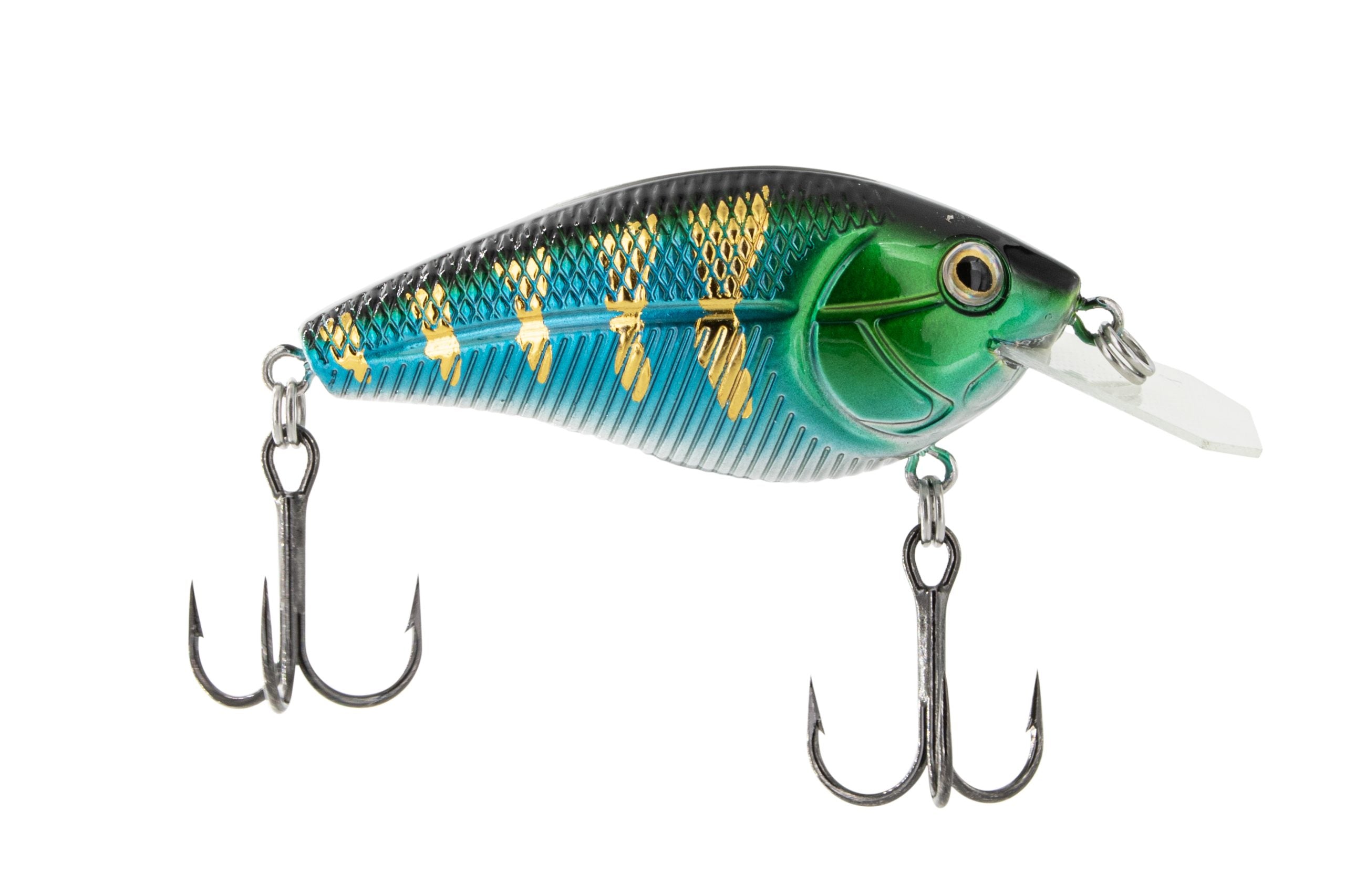 POISSON NAGEUR PRIMETYME CB 1.5 DE LIVINGSTON - BLUE SHINER image