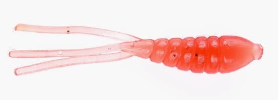 SET THE HOOK SHRIMP MAGGOT 1'' - ROUGE image