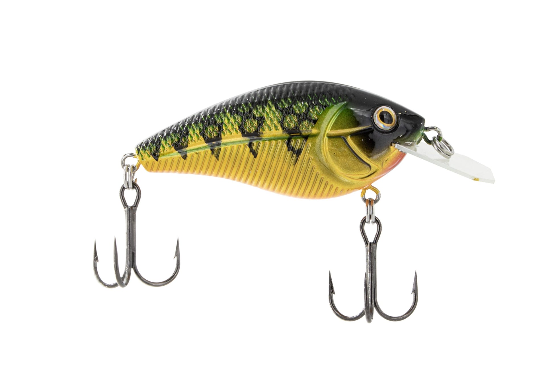 POISSON NAGEUR PRIMETYME CB 1.5 DE LIVINGSTON - YELLOW PERCH image