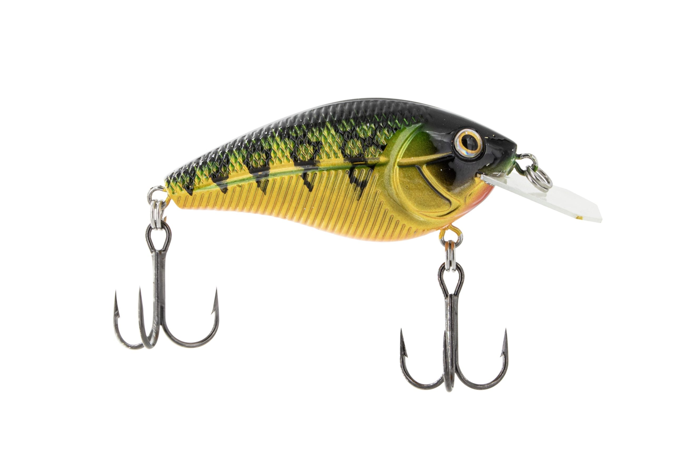 POISSON NAGEUR PRIMETYME CB 1.5 DE LIVINGSTON - YELLOW PERCH image