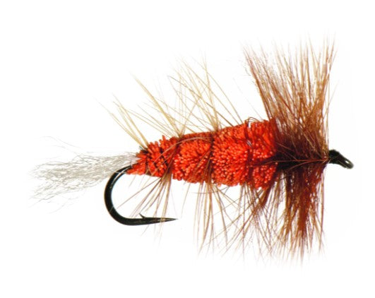 NEPTUNE MOUCHE BOMBER ORANGE SALMON image 0