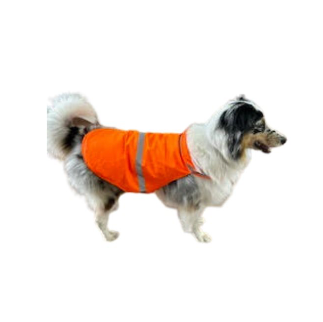 ENTREPÔT DU CHASSEUR DOSSARD DE CHASSE POUR CHIEN image 0