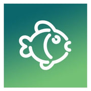 PERMIS DE PÊCHE NON-RÉSIDENT image 0