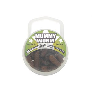 EUROTACKLE MUMMY WORMS - BROWN image