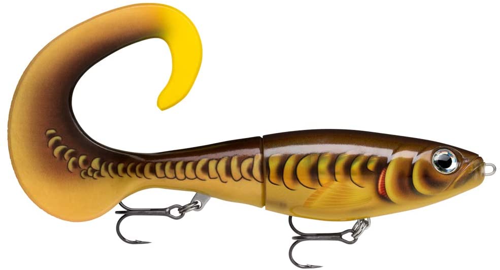RAPALA X-RAP OTUS 25 - MIRROR CARP image