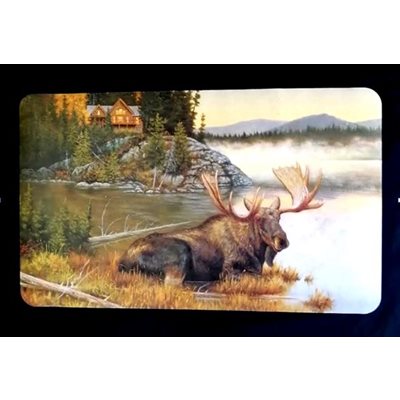 TAPIS ORIGNAL 45 X 75 CM image 0