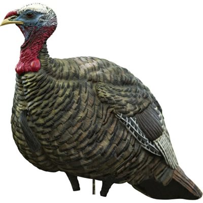 AVIAN-X QUARTER-STRUT JAKE image 0