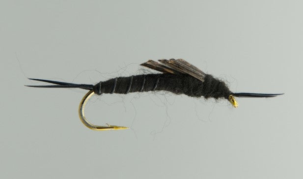 NEPTUNE MOUCHE BLACK STONEFLY image 0