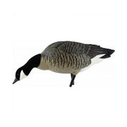 AVIAN-X ENSEMBLE D'APPELANTS BERNACHE SUR PIED QUI SE NOURRIT image 0