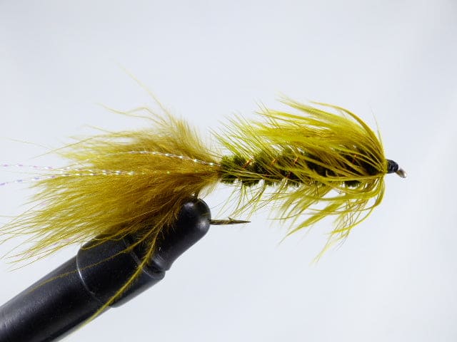 MOUCHE ETIC WOOLY BUGGER - OLIVE, NUMERO 6 image
