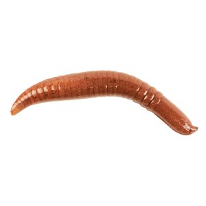 BERKLEY GULP PINCHED CRAWLER - NIGHT CRAWLER image