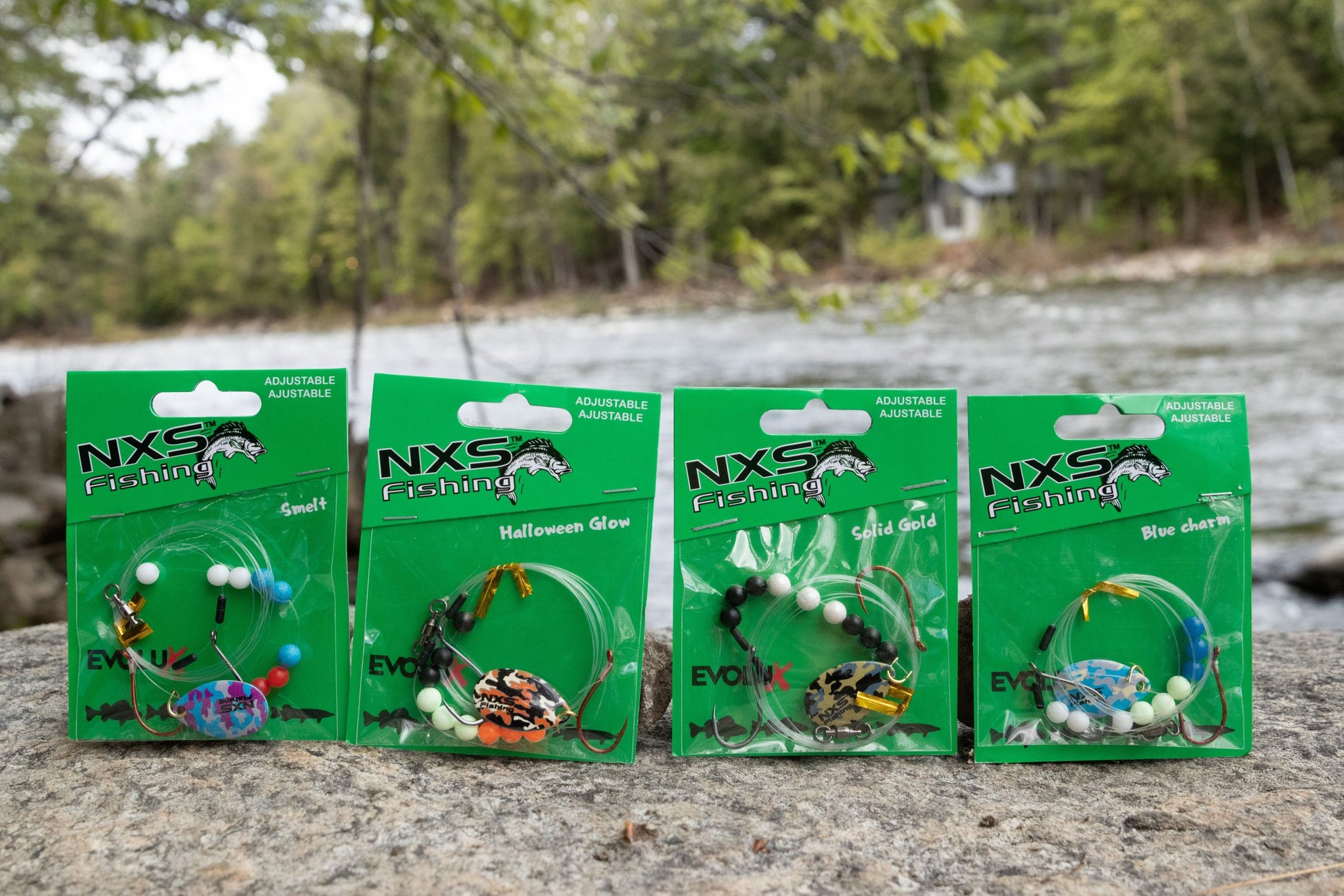 NXS HARNAIS À DORÉ EVOLUX image 2