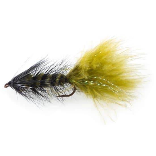 MOUCHE ETIC WOOLY BUGGER - OLIVE, NUMERO 10 image