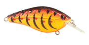 POISSON NAGEUR PRIMETYME CB 1.5 DE LIVINGSTON image 0