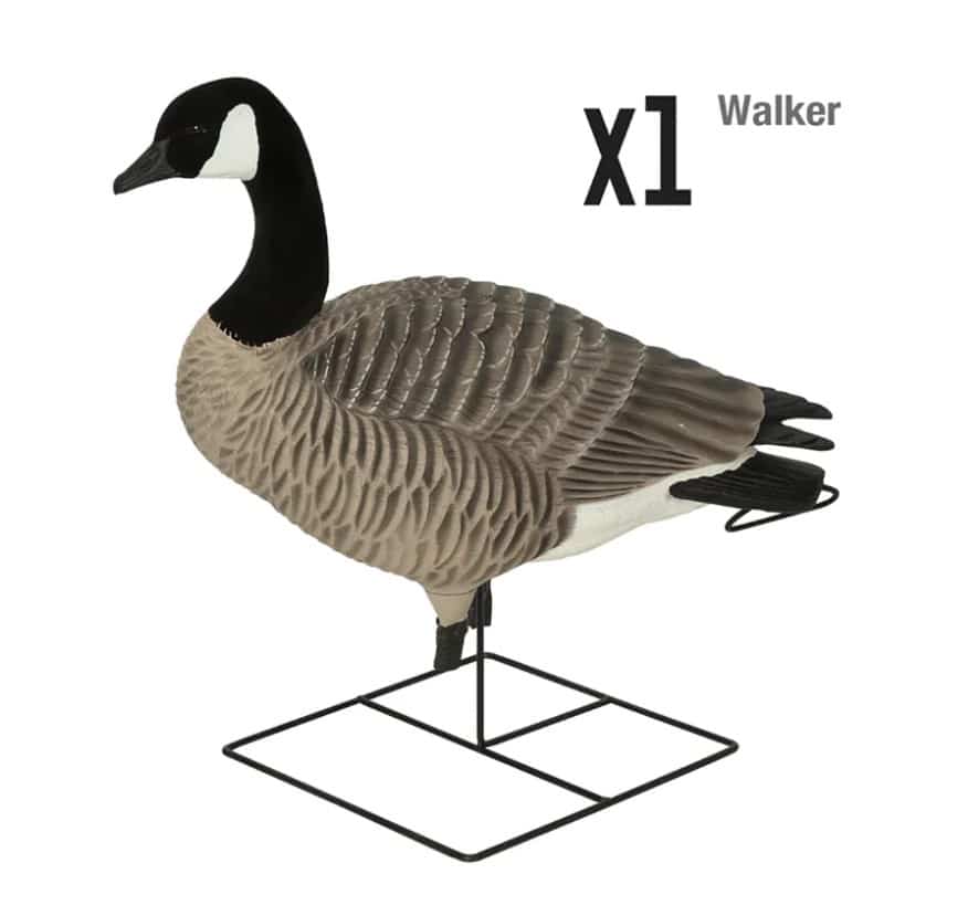 GHG DECOYS PRO GRADE X-D SERIES APPELANTS BERNACHES SUR PIED image 2